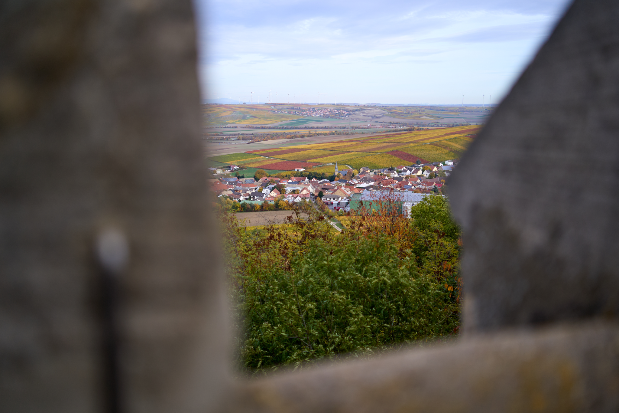 Ausblick auf die rheinhessische Hügellandschaft vom Lonsheimer Aussichtsturm auf der Hemm